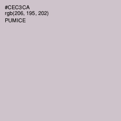 #CEC3CA - Pumice Color Image