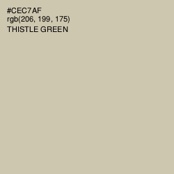 #CEC7AF - Thistle Green Color Image