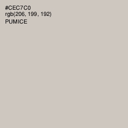#CEC7C0 - Pumice Color Image