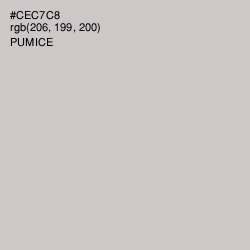 #CEC7C8 - Pumice Color Image