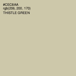 #CEC8AA - Thistle Green Color Image