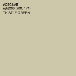 #CEC8AB - Thistle Green Color Image