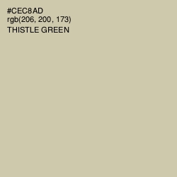 #CEC8AD - Thistle Green Color Image