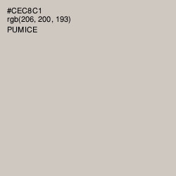 #CEC8C1 - Pumice Color Image
