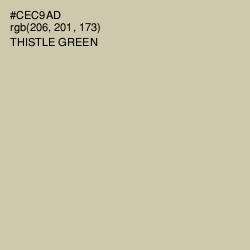 #CEC9AD - Thistle Green Color Image