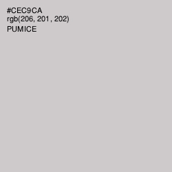 #CEC9CA - Pumice Color Image