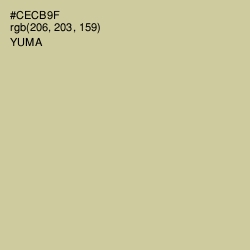 #CECB9F - Yuma Color Image