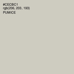 #CECBC1 - Pumice Color Image