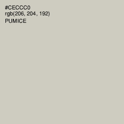 #CECCC0 - Pumice Color Image