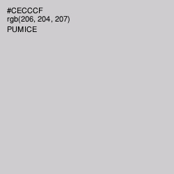 #CECCCF - Pumice Color Image