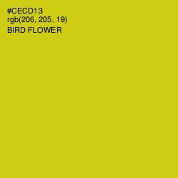 #CECD13 - Bird Flower Color Image