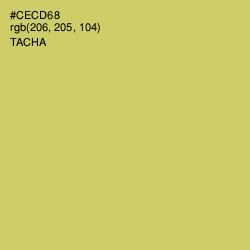 #CECD68 - Tacha Color Image