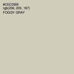 #CECDBB - Foggy Gray Color Image