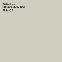 #CECEC0 - Pumice Color Image