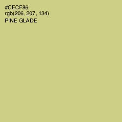 #CECF86 - Pine Glade Color Image