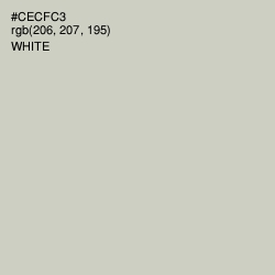 #CECFC3 - Pumice Color Image