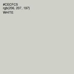 #CECFC5 - Pumice Color Image