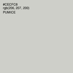 #CECFC8 - Pumice Color Image