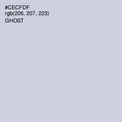 #CECFDF - Ghost Color Image