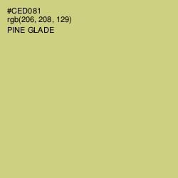 #CED081 - Pine Glade Color Image