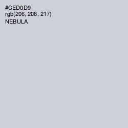 #CED0D9 - Nebula Color Image