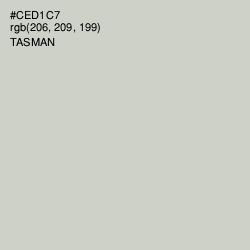 #CED1C7 - Tasman Color Image