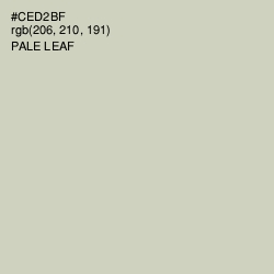 #CED2BF - Pale Leaf Color Image