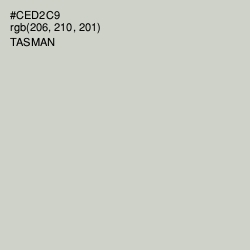 #CED2C9 - Tasman Color Image