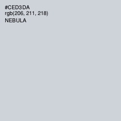 #CED3DA - Nebula Color Image