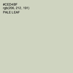 #CED4BF - Pale Leaf Color Image