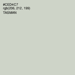 #CED4C7 - Tasman Color Image