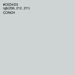 #CED4D3 - Conch Color Image