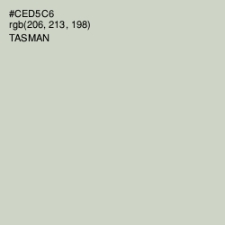 #CED5C6 - Tasman Color Image