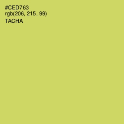#CED763 - Tacha Color Image