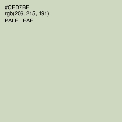 #CED7BF - Pale Leaf Color Image