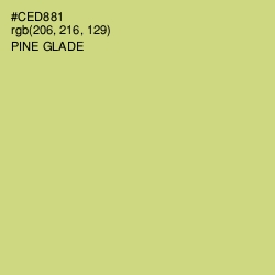 #CED881 - Pine Glade Color Image