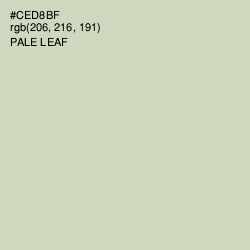 #CED8BF - Pale Leaf Color Image
