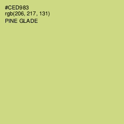#CED983 - Pine Glade Color Image