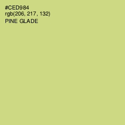 #CED984 - Pine Glade Color Image