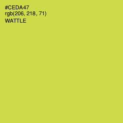 #CEDA47 - Wattle Color Image