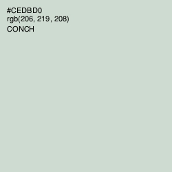 #CEDBD0 - Conch Color Image