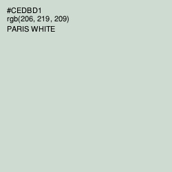 #CEDBD1 - Paris White Color Image