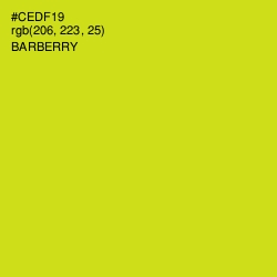 #CEDF19 - Barberry Color Image