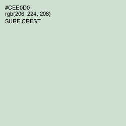 #CEE0D0 - Surf Crest Color Image