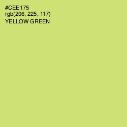 #CEE175 - Yellow Green Color Image