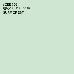 #CEE6D2 - Surf Crest Color Image
