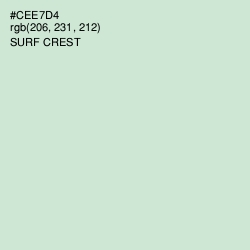 #CEE7D4 - Surf Crest Color Image