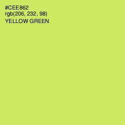 #CEE862 - Yellow Green Color Image