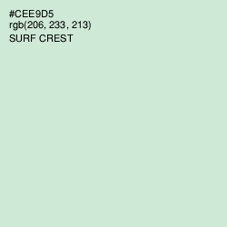 #CEE9D5 - Surf Crest Color Image