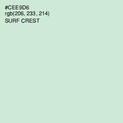 #CEE9D6 - Surf Crest Color Image